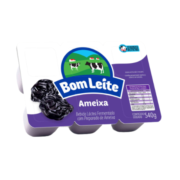 Bebida Láctea Bandeja Ameixa 540g