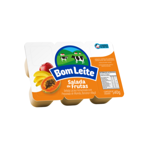 Bebida Láctea Bandeja Salada de Frutas 540g